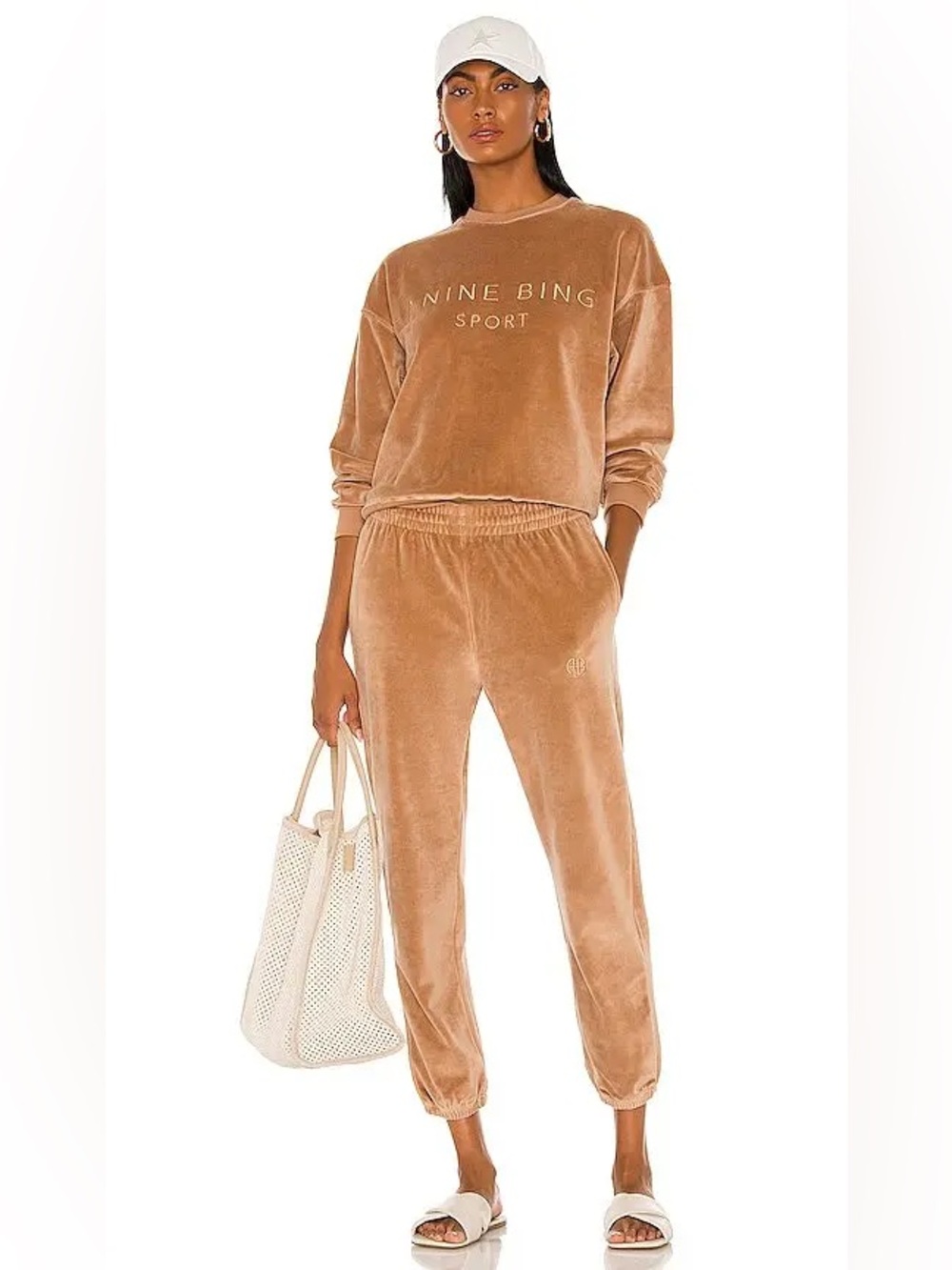 Anine Bing Sport Evan Set Sweatshirt and Joggers in Velour Taupe